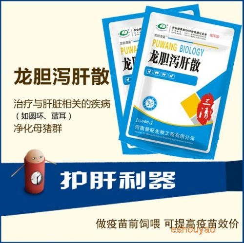 豬圓環病 豬藍耳.