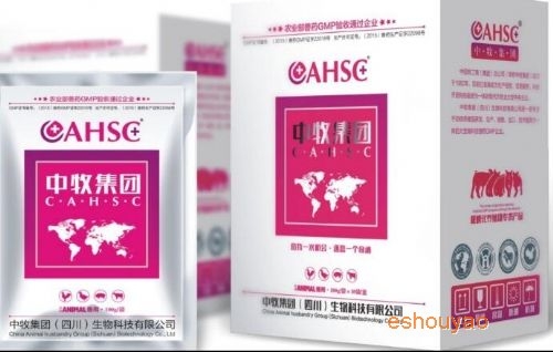 新桿包凈
