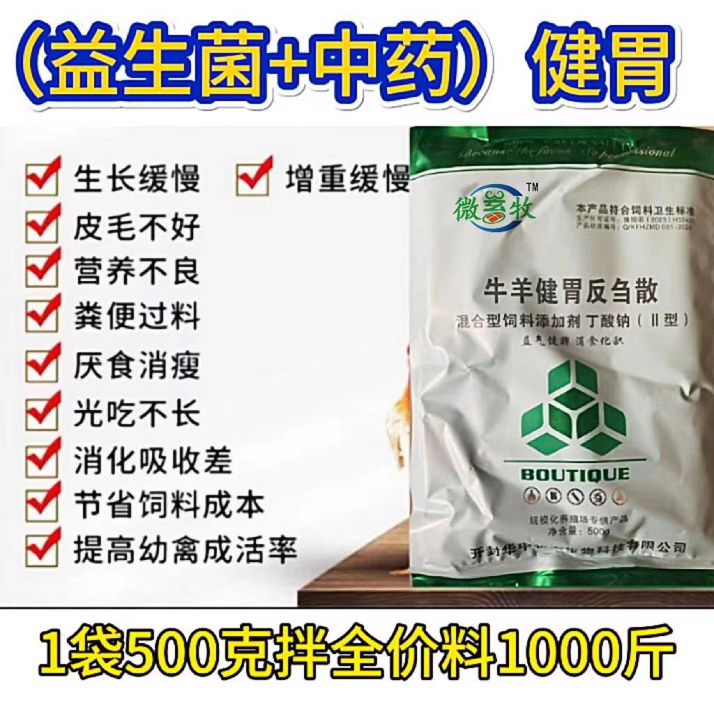 夏季長途運輸羊,到家.